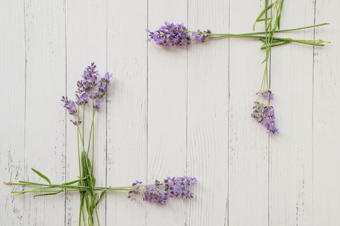 Why So Many Personal and Beauty Care Products Feature Lavender Scent?