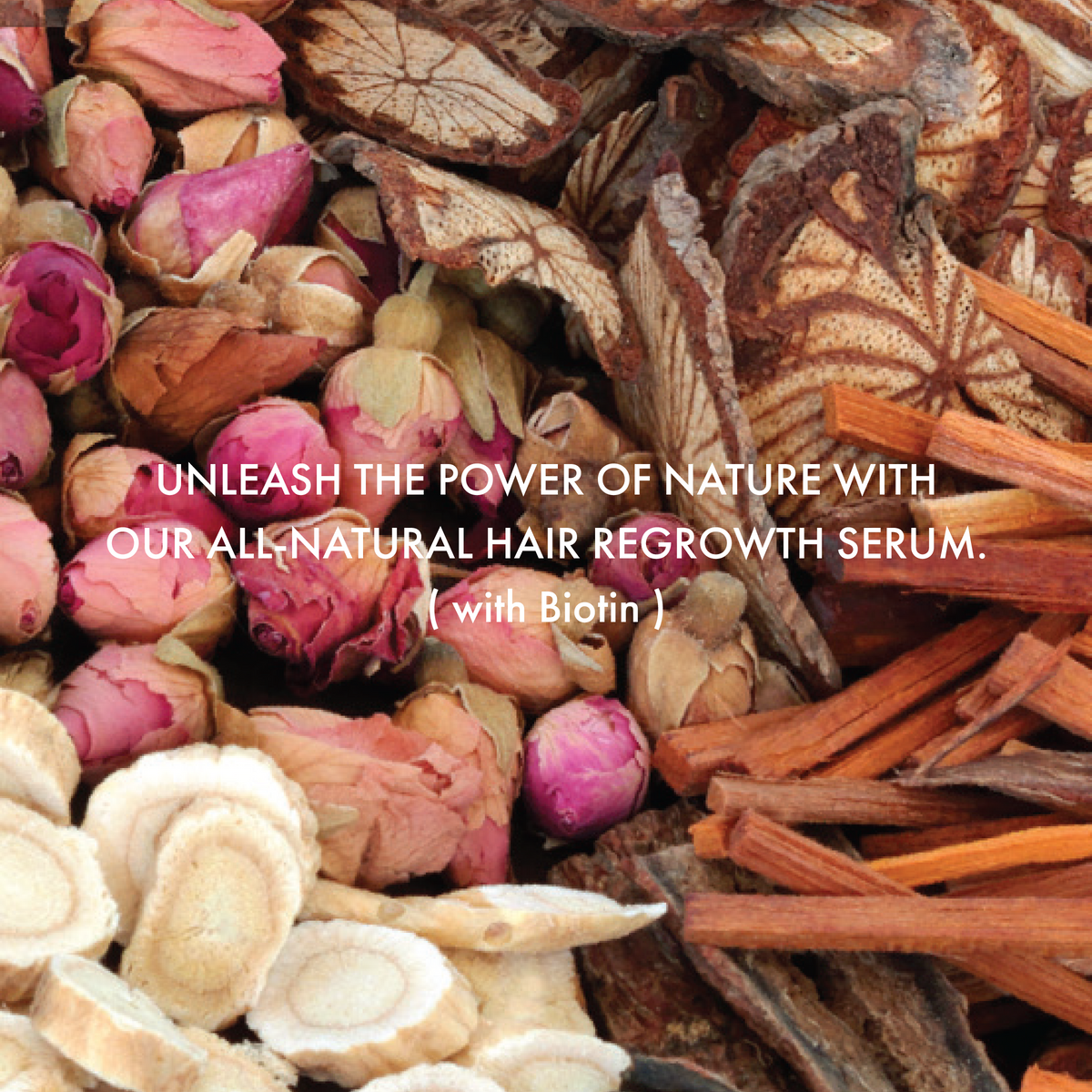 Hair Regrowth Serum F / Herbs &amp; Biotin (Vitamin B7)