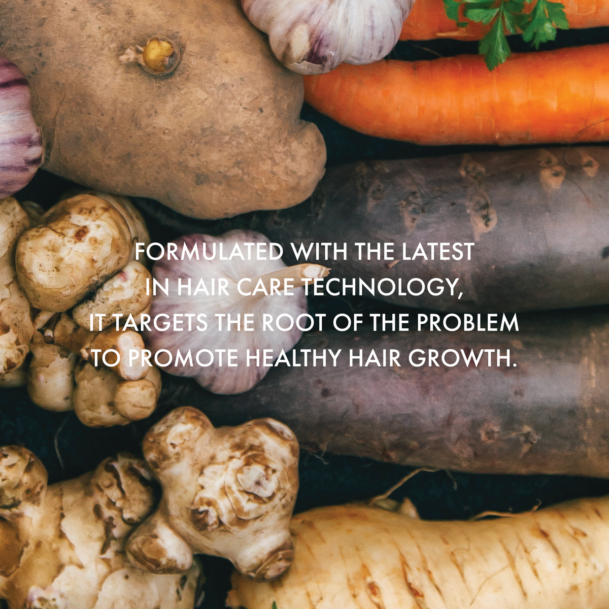 Anti Hair Loss Treatment / Roots / Pro Size